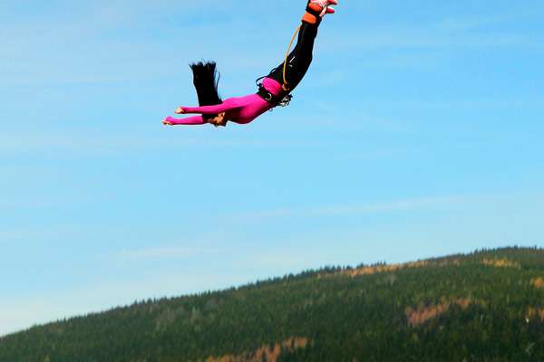 Bungee
